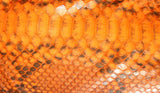 A close up image of a unique orange snake skin, perfect for a fashionista's Barya Python Jacket.