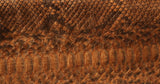 A close up image of a unique Barya python jacket with a brown python skin, perfect for the fashionista.